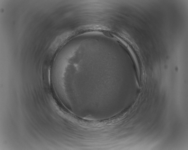 X0000056330014200508291304