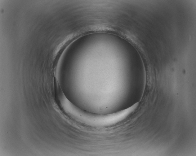 X0000056330015200508291304