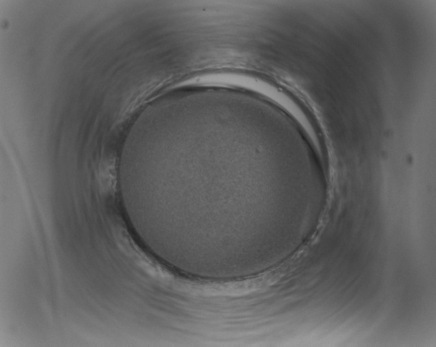 X0000056330017200508291304