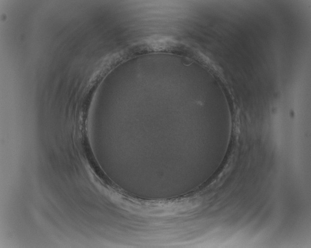 X0000056330018200508291304