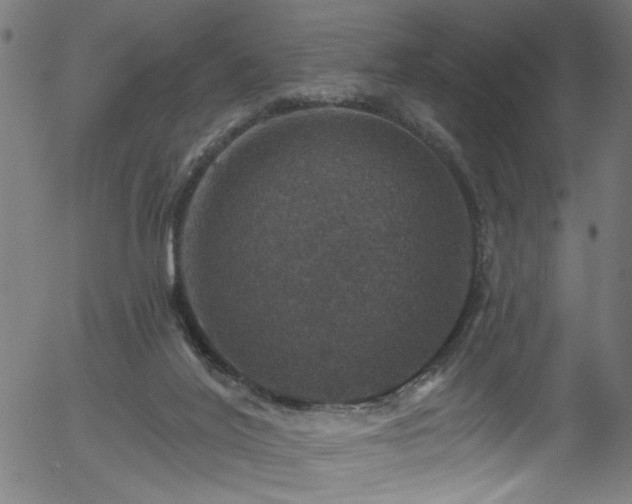 X0000056330020200508291304