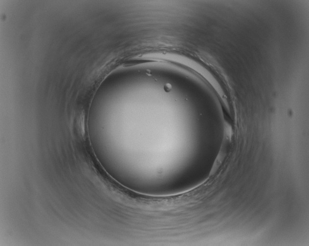 X0000056330021200508291304