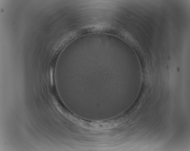 X0000056330022200508291304