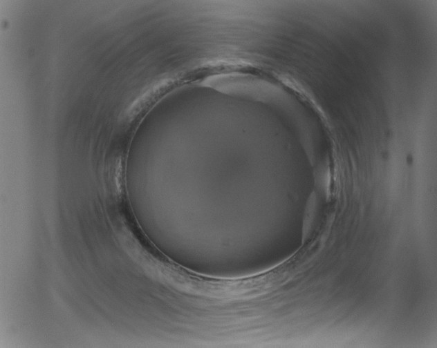 X0000056330023200508291304