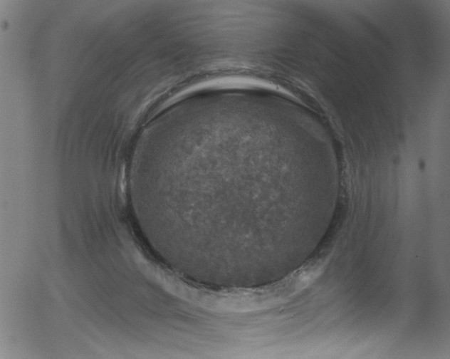 X0000056330024200508291304