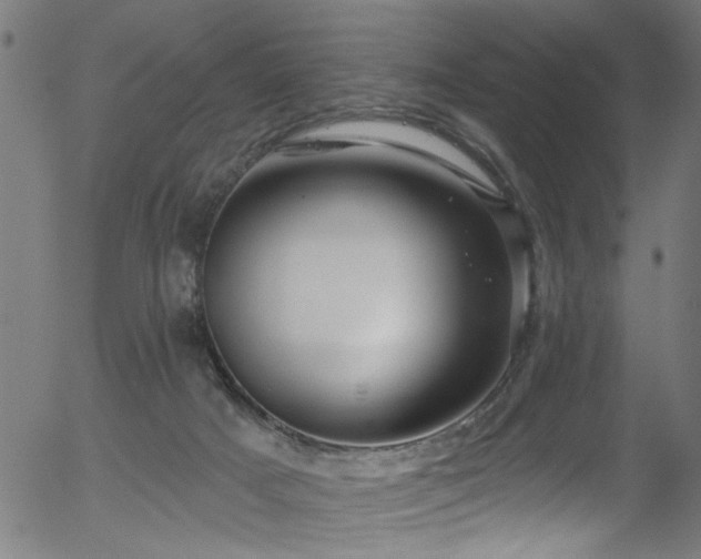 X0000056330025200508291304