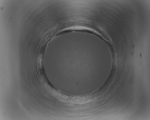 X0000056330026200508291304