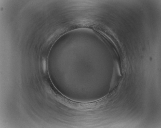 X0000056330027200508291304