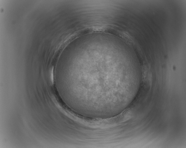 X0000056330028200508291304