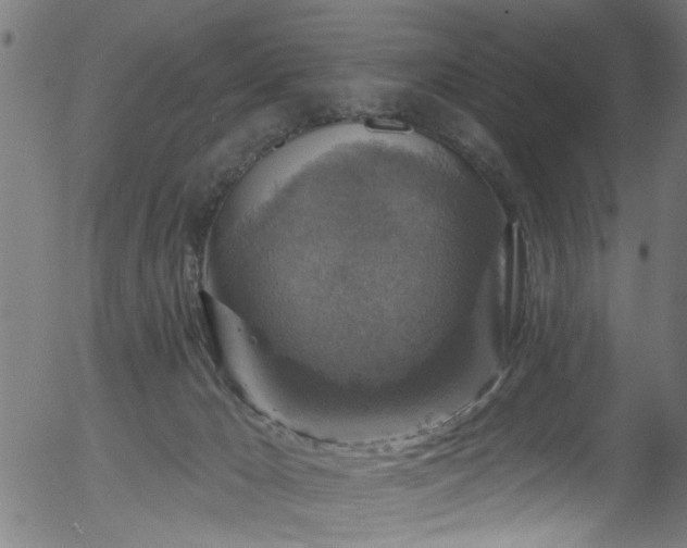 X0000056330029200508291304