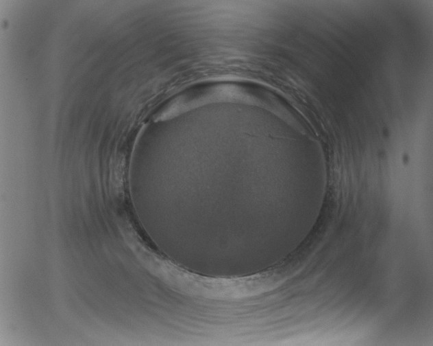 X0000056330030200508291304