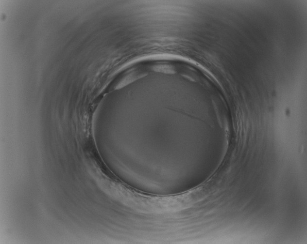 X0000056330031200508291304