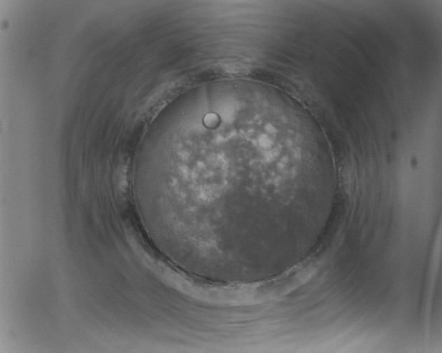 X0000056330032200508291304