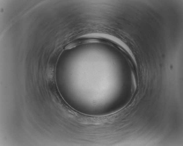 X0000056330033200508291304