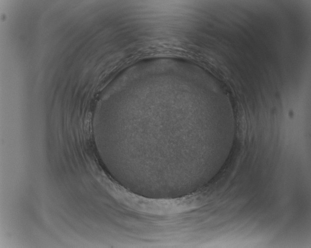 X0000056330034200508291304