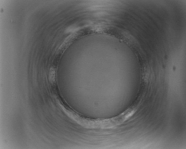 X0000056330036200508291303