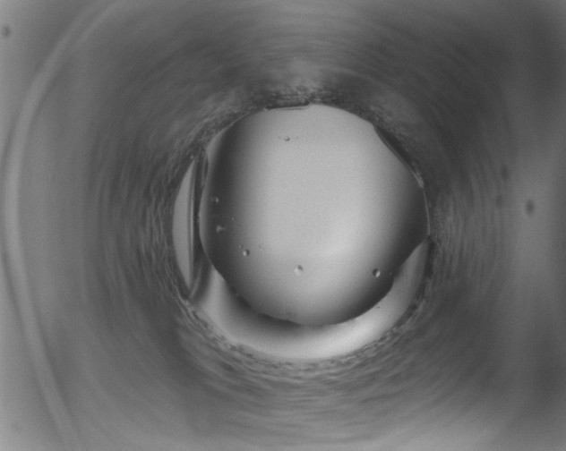 X0000056330037200508291303