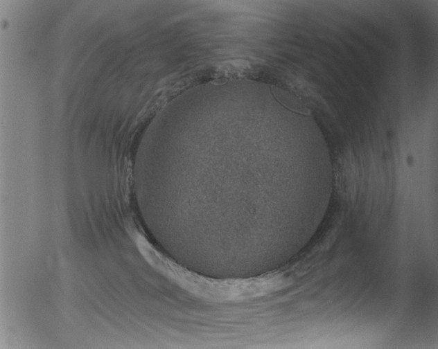 X0000056330038200508291303