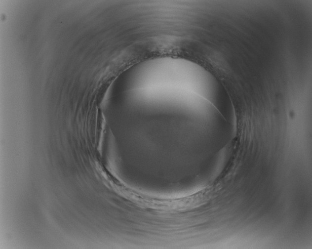 X0000056330039200508291303