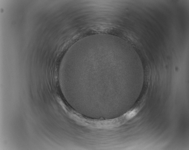 X0000056330040200508291303