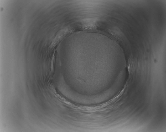 X0000056330041200508291303