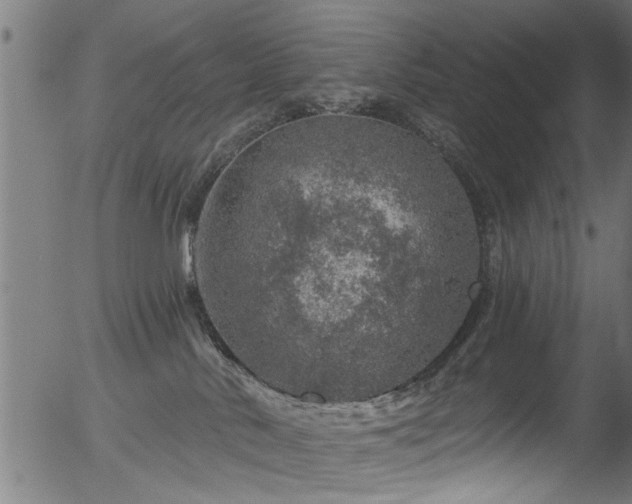 X0000056330042200508291303