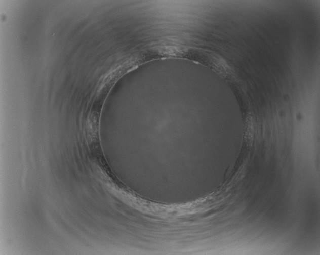 X0000056330043200508291303