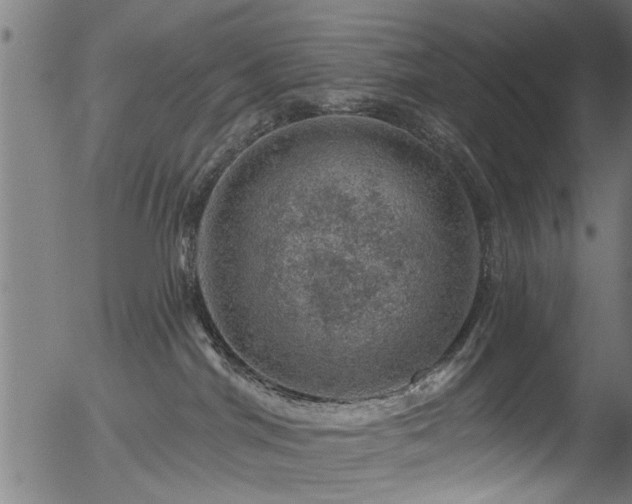 X0000056330044200508291303