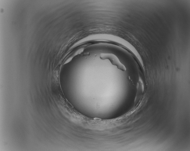 X0000056330045200508291303