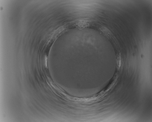 X0000056330046200508291303