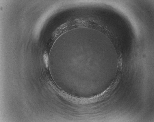 X0000056330047200508291303