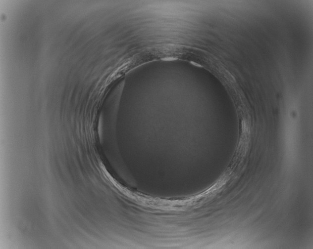 X0000056330048200508291303