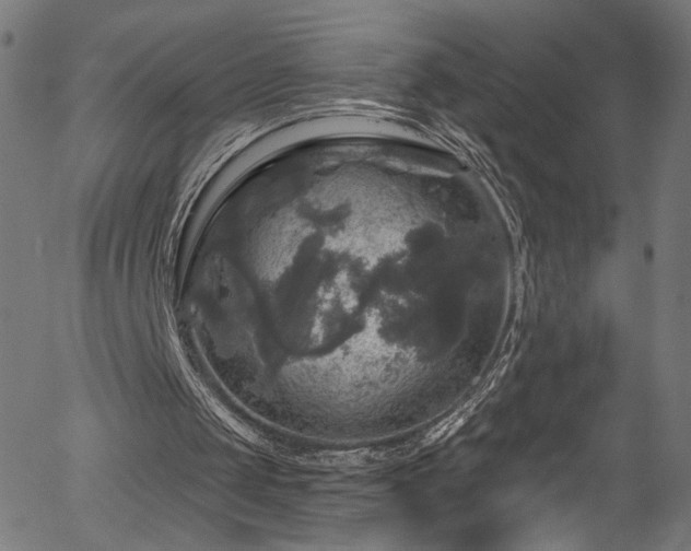 X0000056330049200508291302