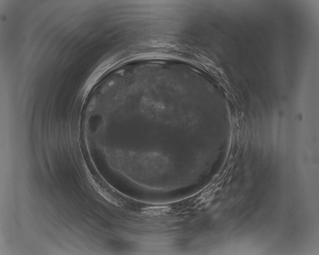 X0000056330051200508291302