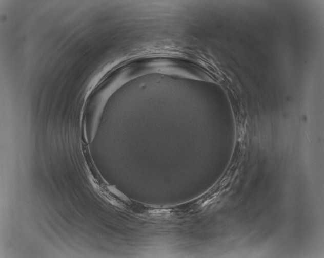 X0000056330052200508291302