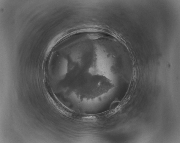 X0000056330053200508291303