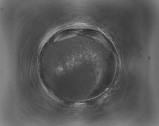 X0000056330055200508291303