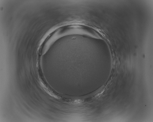 X0000056330056200508291303