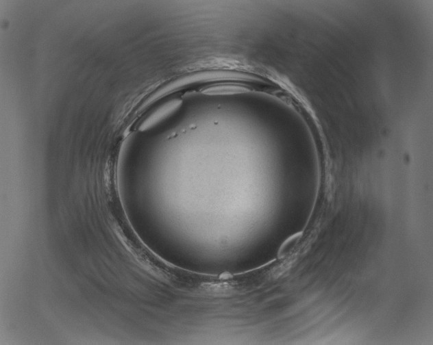 X0000056330057200508291303