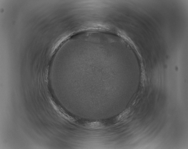 X0000056330058200508291303