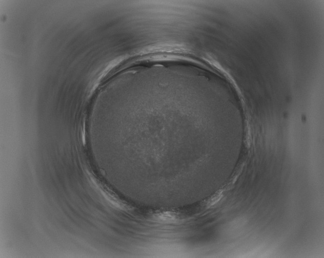 X0000056330062200508291303