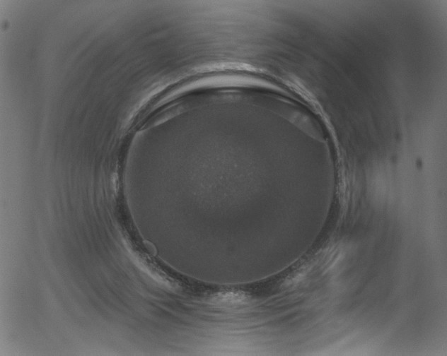 X0000056330063200508291303