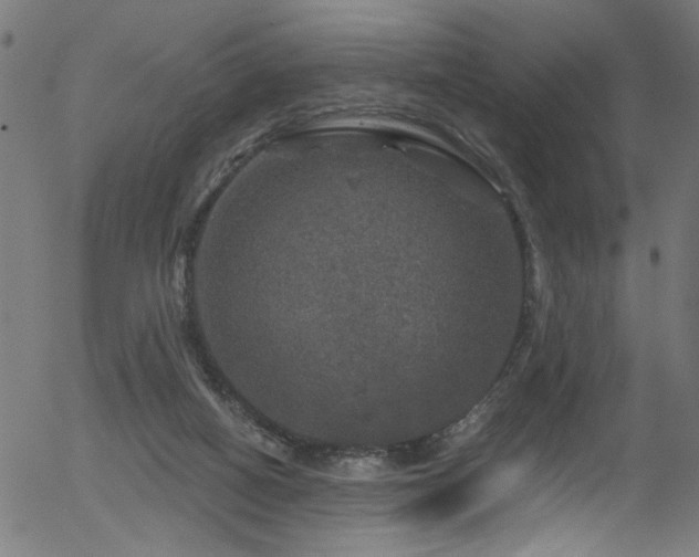 X0000056330066200508291303