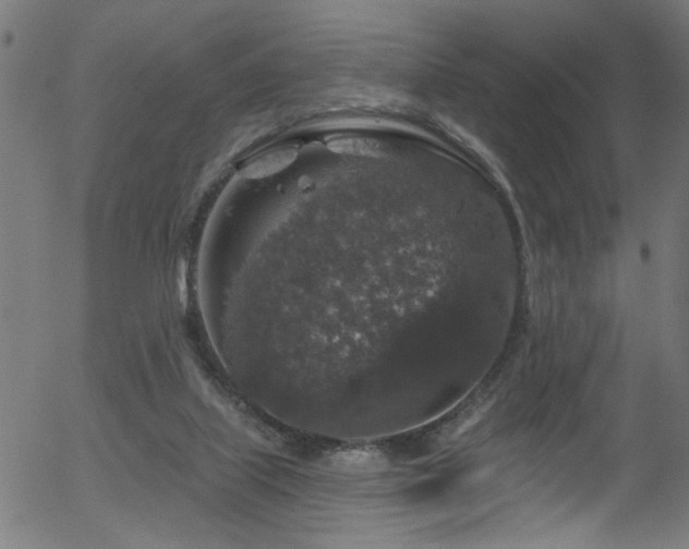 X0000056330067200508291303