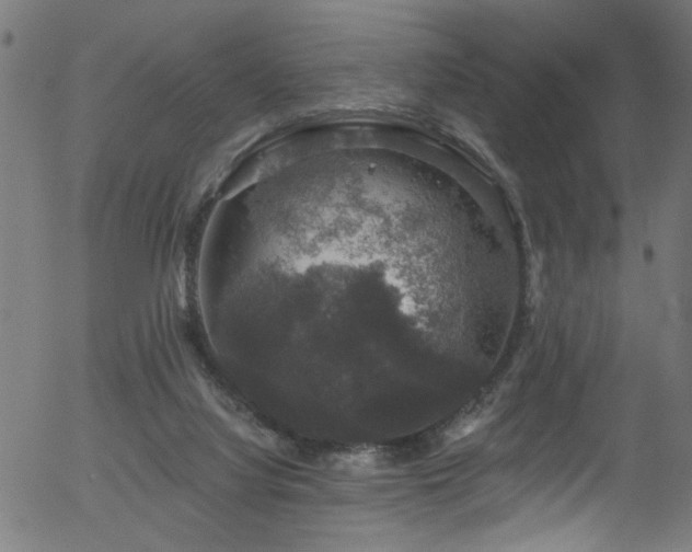 X0000056330068200508291303