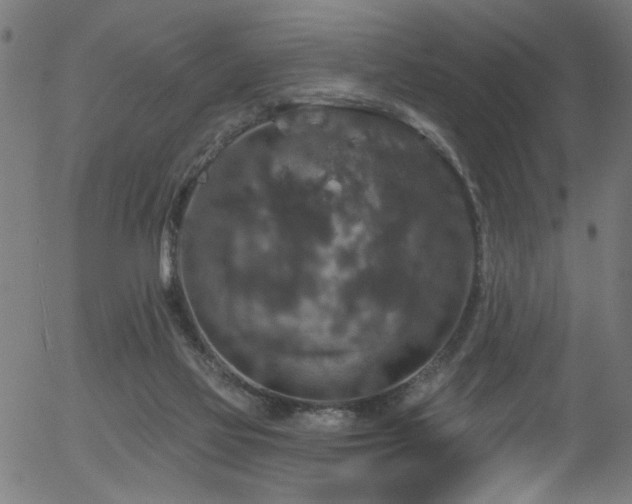 X0000056330069200508291303