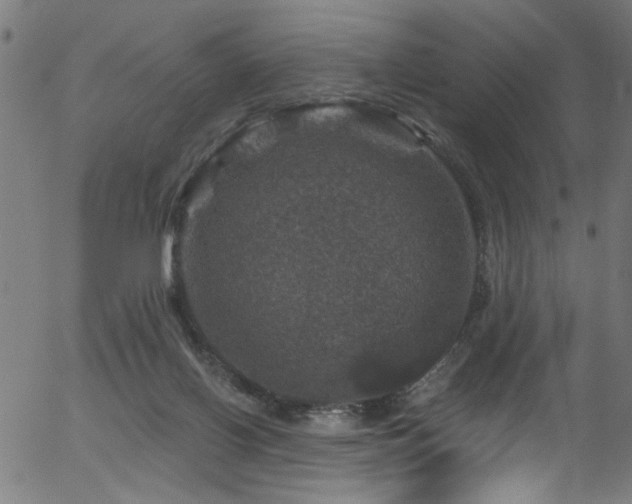 X0000056330070200508291303