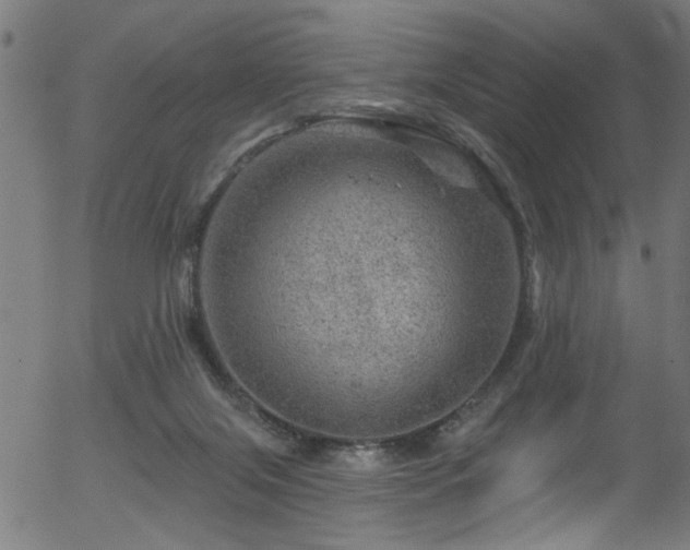 X0000056330071200508291303