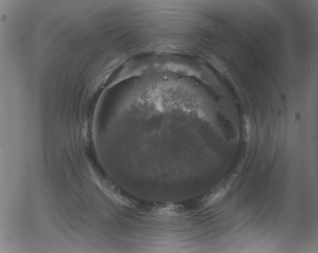 X0000056330072200508291303