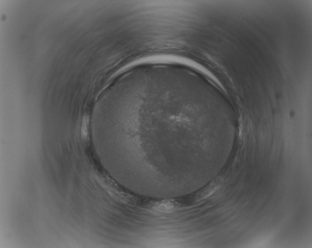 X0000056330075200508291303